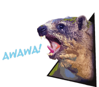 Mama Funny Hyrax Screaming Mom Hyrax Meme Animal Coaster