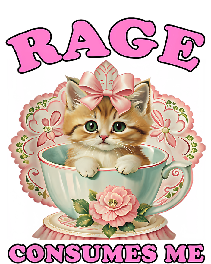 Rage Consumes Me Funny Kitten Cat Mental Health Meme Retro Valucap Bio-Washed Visor