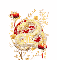 Year Of The Snake 2025 Chinese New Year T-Shirt