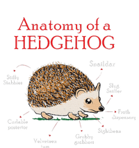 Cute Hedge Hog Animal Anatomy Hedgehog Memes Pet Lover Gift Valucap Bio-Washed Visor