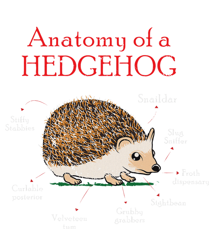 Cute Hedge Hog Animal Anatomy Hedgehog Memes Pet Lover Gift Valucap Bio-Washed Visor