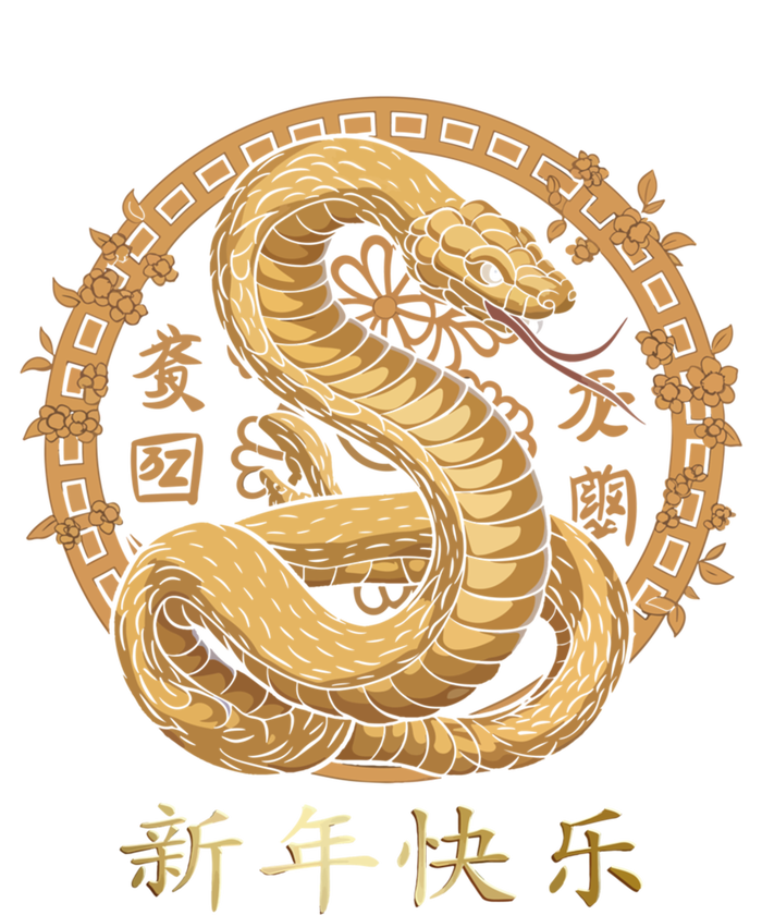 New Year Chinese New Year 2025 Snake Year Of The Snake 2025 Gift T-Shirt