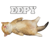 Eepy Cat Sleepy Cat Meme T-Shirt