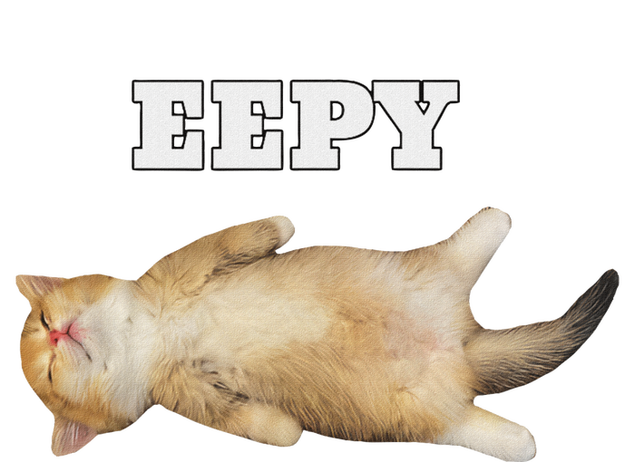 Eepy Cat Sleepy Cat Meme T-Shirt