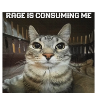 Rage Is Consuming Me Cat T-Shirt