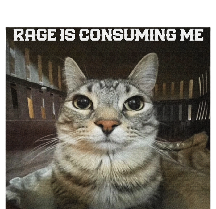 Rage Is Consuming Me Cat T-Shirt