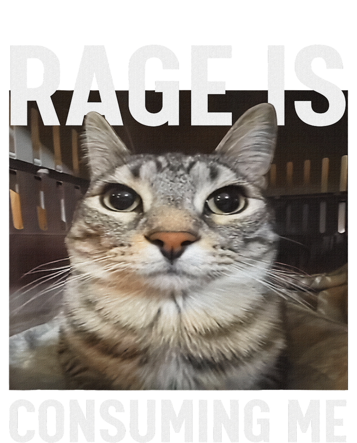 Rage Is Consuming Me Funny Cat Meme T-Shirt