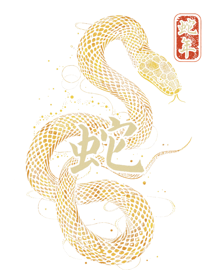 Year Of The Snake 2025 Chinese New Year T-Shirt