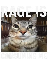 Rage Is Consuming Me Funny Cat Meme Gift T-Shirt