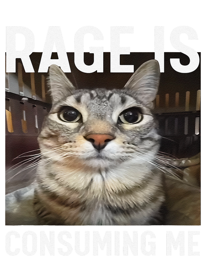 Rage Is Consuming Me Funny Cat Meme Gift T-Shirt