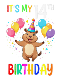 Capybara Birthday 14 Birthday Party 14th Birthday T-Shirt