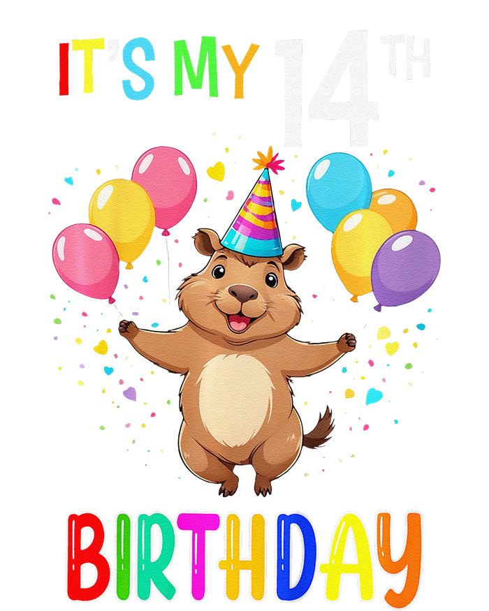 Capybara Birthday 14 Birthday Party 14th Birthday T-Shirt