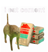 I Eat Cement Cursed Cat Funny Oddly Specificc T-Shirt