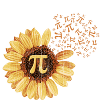 Pi Pi Day Sunflower Attire Math Funny Gift T-Shirt