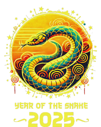 Year Of The Snake 2025 Lunar New Year Chinese New Year 2025 Hoodie