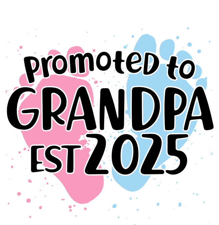 Cute Promoted To Grandpa Est 2025 T-Shirt