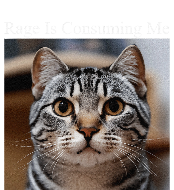 Rage Is Consuming Me Silly Staring Cat Meme Oddly Specific T-Shirt