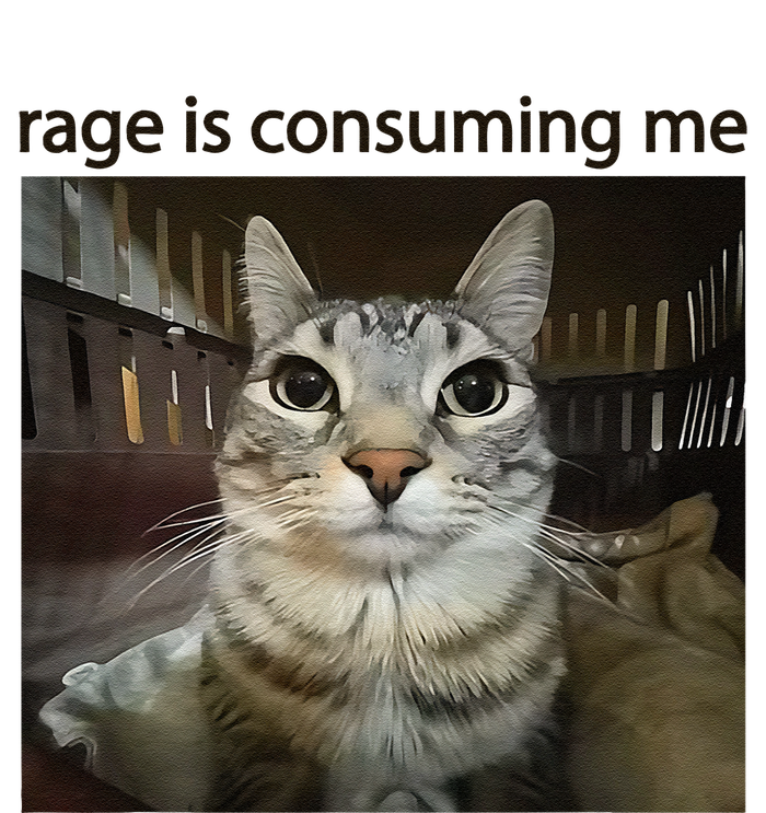 Funny Rage Is Consuming Me Silly Staring Cat Meme T-Shirt