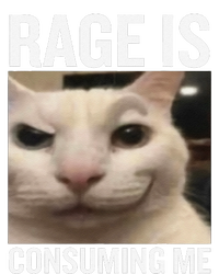 Rage Is Consuming Me Funny Cat Meme Sustainable Beanie