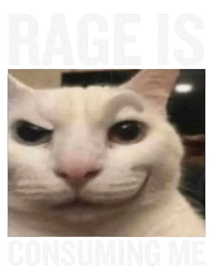 Rage Is Consuming Me Funny Cat Meme Sustainable Beanie