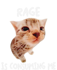 Rage Is Consuming Me Cat Meme Magnet