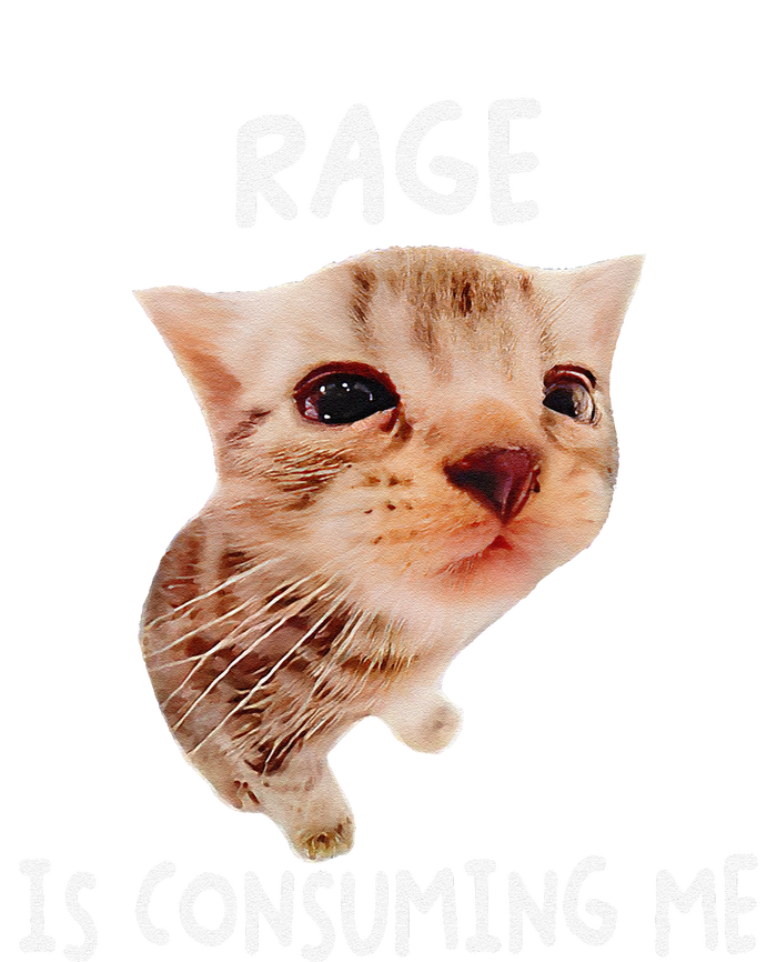 Rage Is Consuming Me Cat Meme Magnet