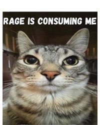 Rage Is Consuming Me Cat Cooling Performance Crew T-Shirt