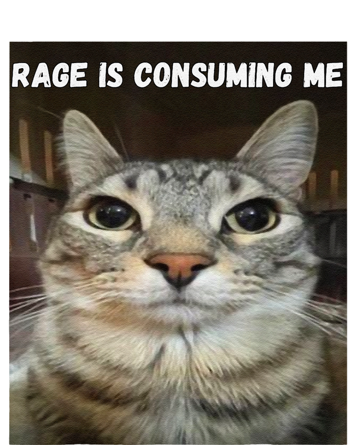 Rage Is Consuming Me Cat Cooling Performance Crew T-Shirt