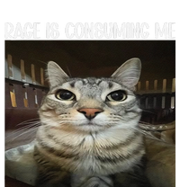 Rage Is Consuming Me Rage Cat Lovers T-Shirt