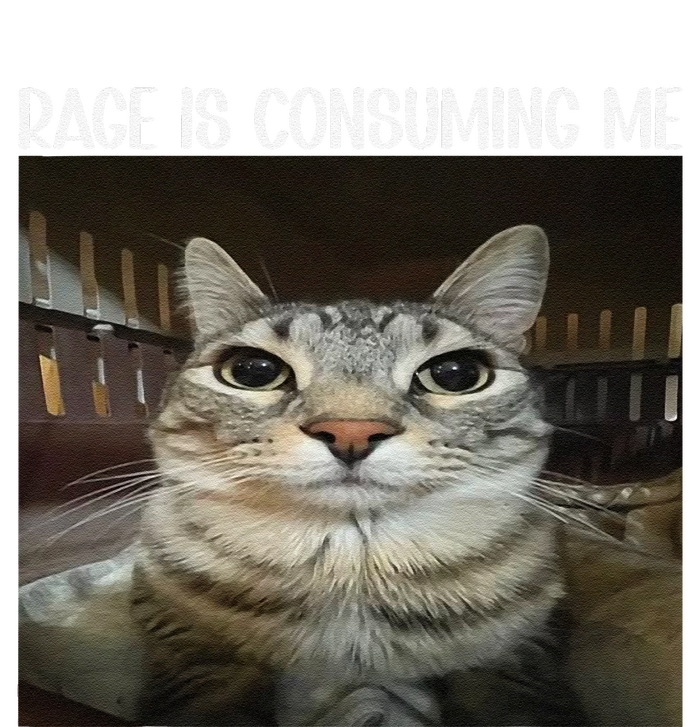 Rage Is Consuming Me Rage Cat Lovers T-Shirt