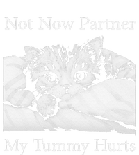 Not Now Partner My Tummy Hurts Funny Cat Design Cat Lovers T-Shirt