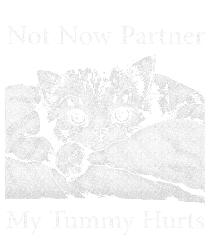 Not Now Partner My Tummy Hurts Funny Cat Design Cat Lovers T-Shirt