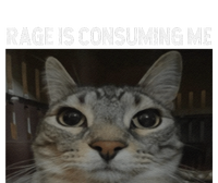 Rage Is Consuming Me Cat Meme Silly Staring Cat Funny Meme T-Shirt