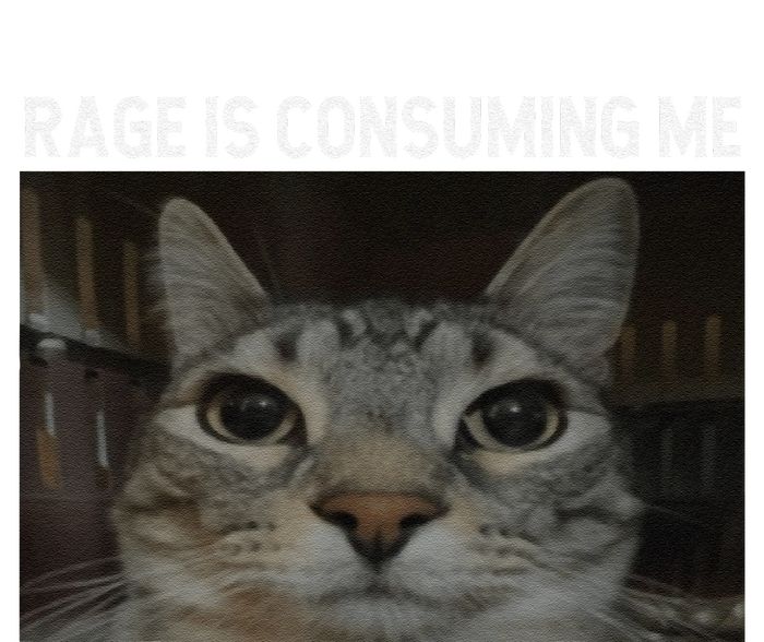 Rage Is Consuming Me Cat Meme Silly Staring Cat Funny Meme T-Shirt