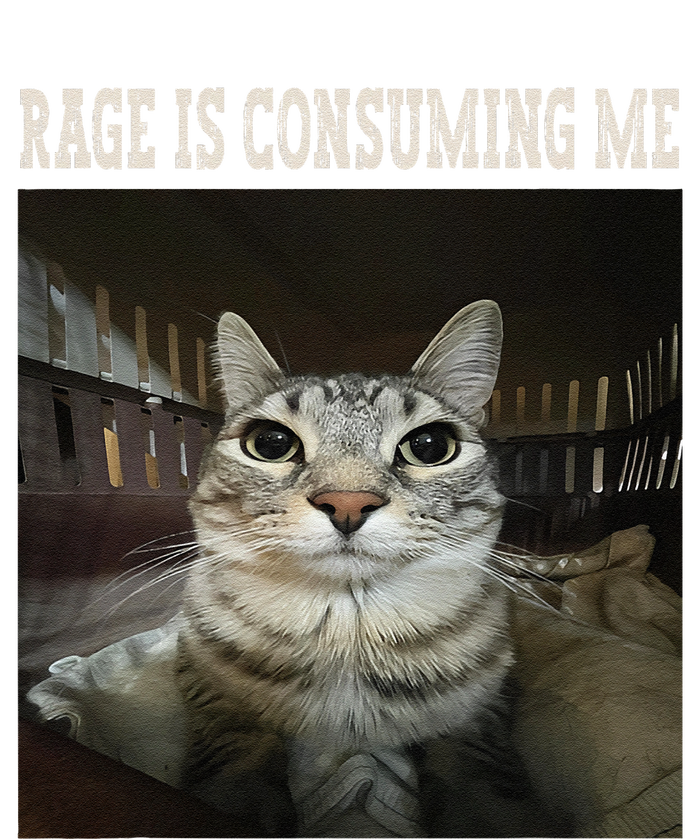 Rage Is Consuming Me Cat T-Shirt