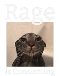 Rage Is Consuming Me Silly Staring Cat Meme T-Shirt