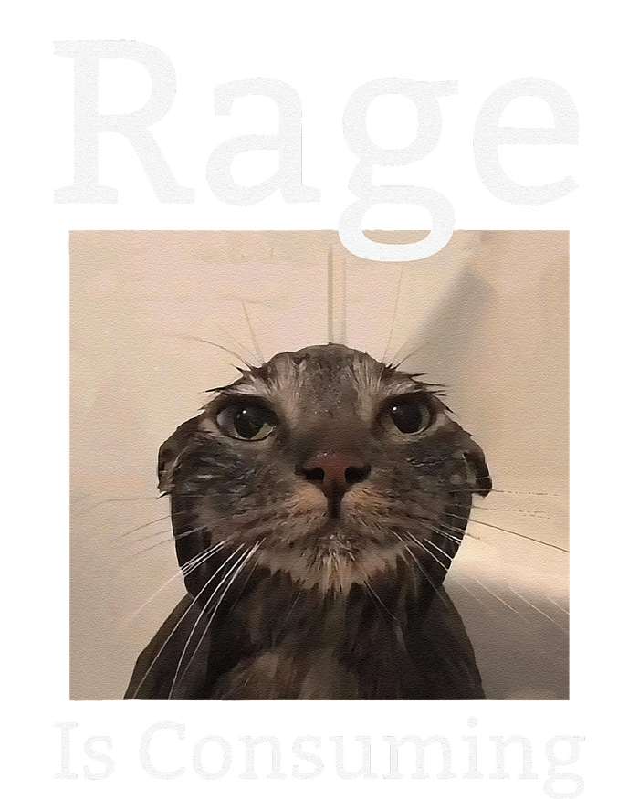 Rage Is Consuming Me Silly Staring Cat Meme T-Shirt