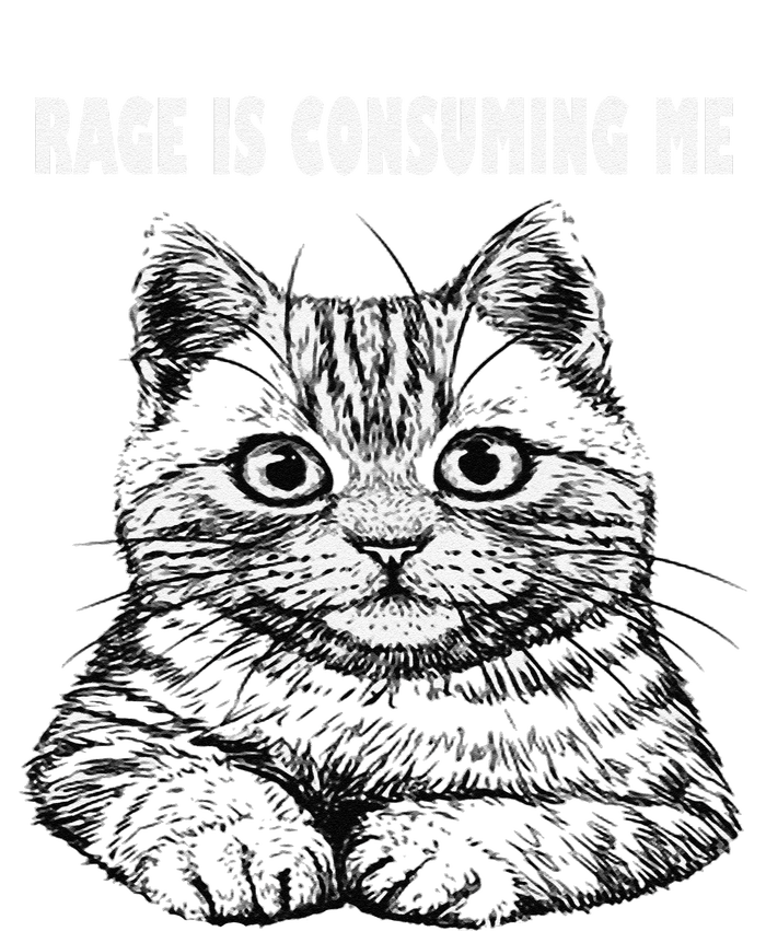 Rage Is Consuming Me Silly Staring Cat Meme Tall Long Sleeve T-Shirt