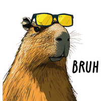 Capybara Cool Bruh In Style T-Shirt