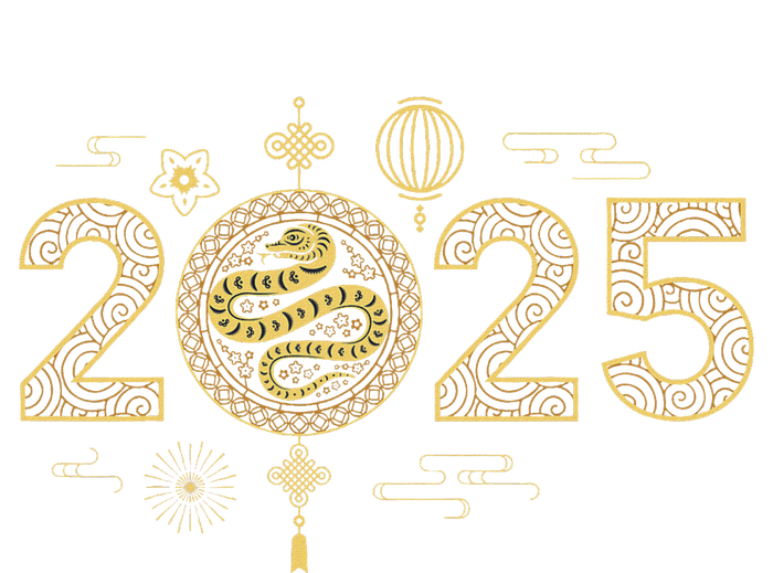 Year Of The Snake 2025 T-Shirt