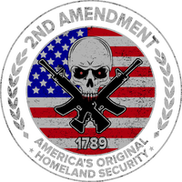 2nd Amendment America's Original Homeland Security 1789 Front And Back Mug