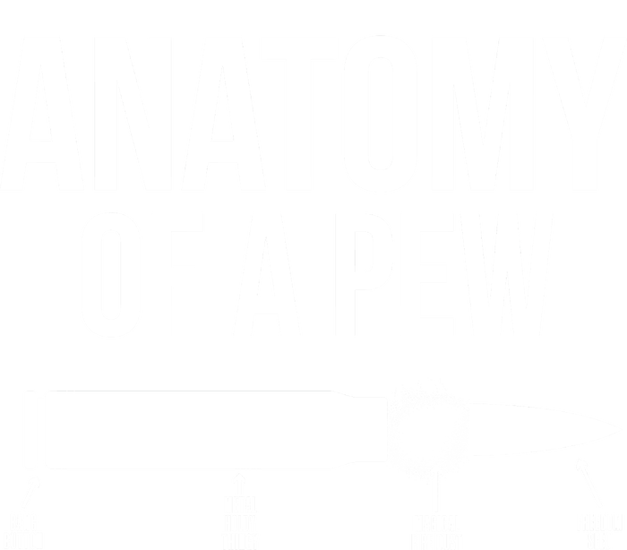 Anatomy Of A Pew Funny Bullet Pro Guns Striped Beanie with Solid Band