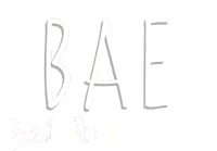 BAE Best Auntie Ever Women's V-Neck T-Shirt