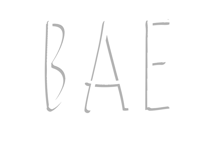 BAE Best Auntie Ever Women's V-Neck T-Shirt