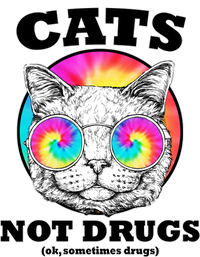 Cats Not Drugs Ok Sometimes Drugs Kids T-Shirt