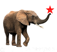 California Republic Elephant  Mousepad