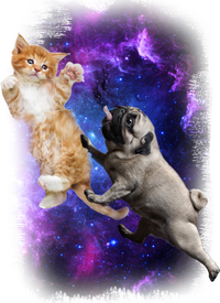 Cat And Pug In Space Tank Top