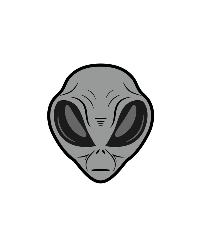 Trump Space Force Team Fight Illegal Aliens Button