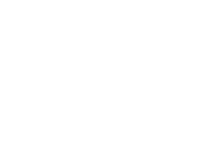 Horse Riding Coach Ladies Long Sleeve Shirt