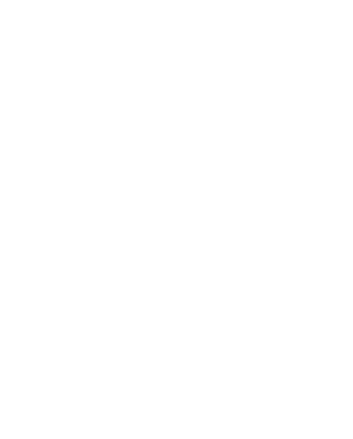 Japanese Koi Pisces T-Shirt